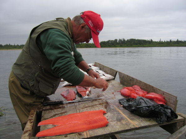 Wildlachs Alaska - Image 2