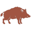 symbol-wildschwein