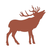 Wildbret Hirsch CULINARIUM