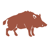 Wildschwein